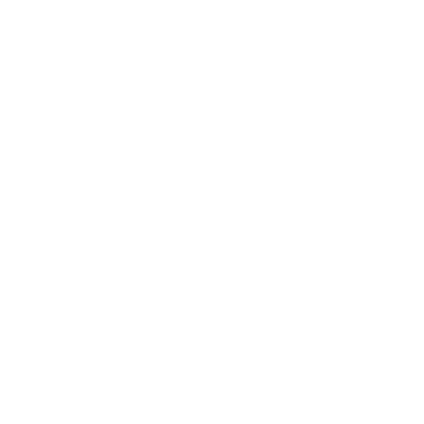 Tribes Of Jaipur