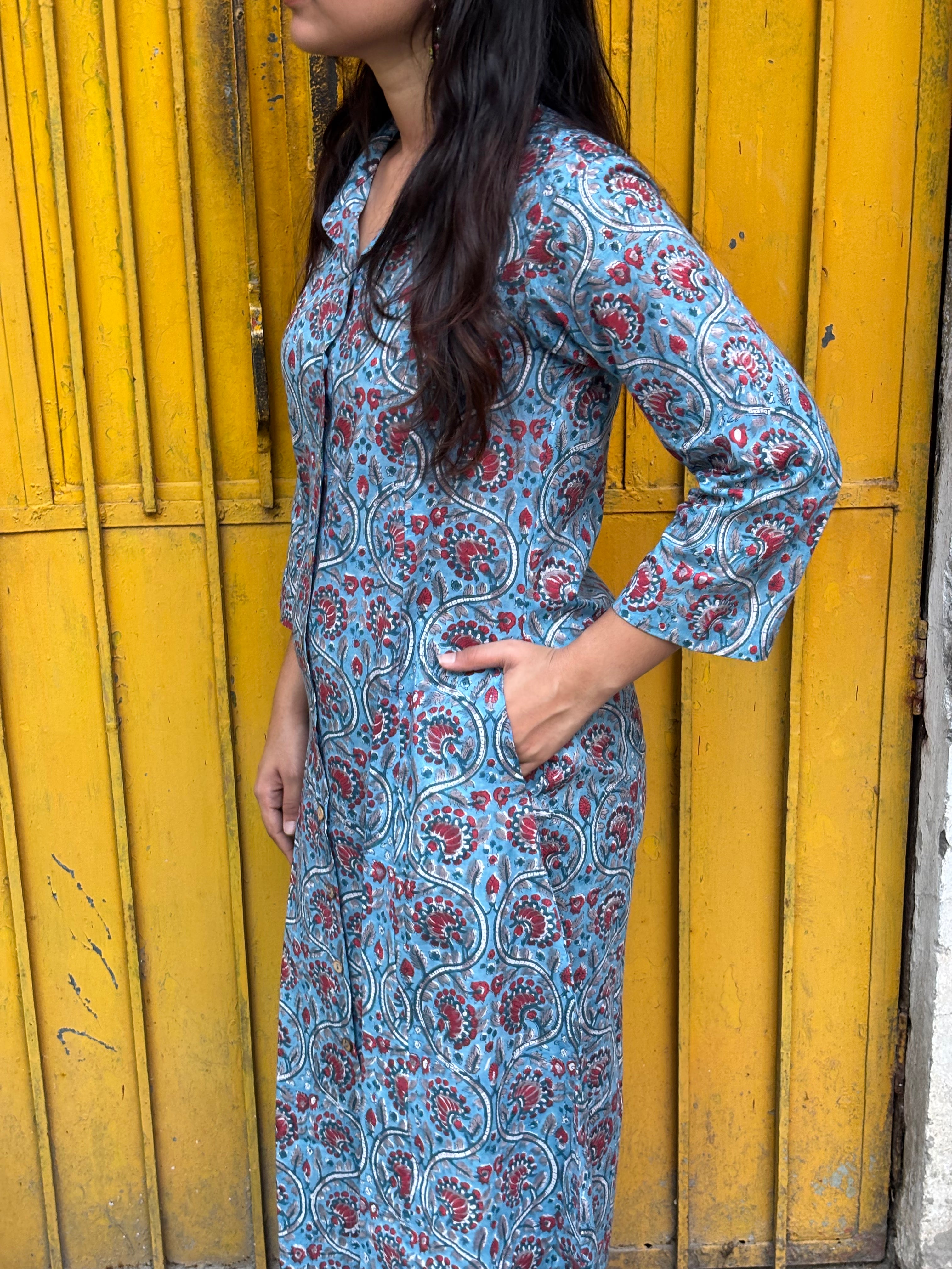 Taraash Hand Block Print Cotton Collar A-Line Dress
